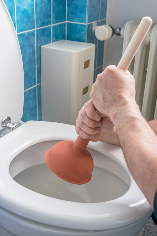 clogged toilet