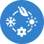 Show up every season